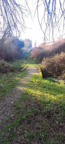 Φωτογραφία 3