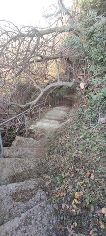 Φωτογραφία 4