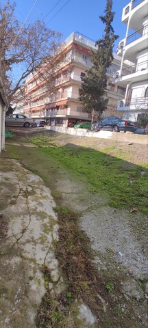 Φωτογραφία 6