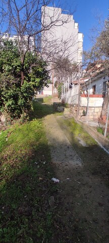 Φωτογραφία 7