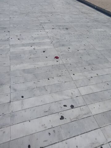 Φωτογραφία 4