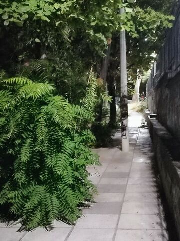 Φωτογραφία 2