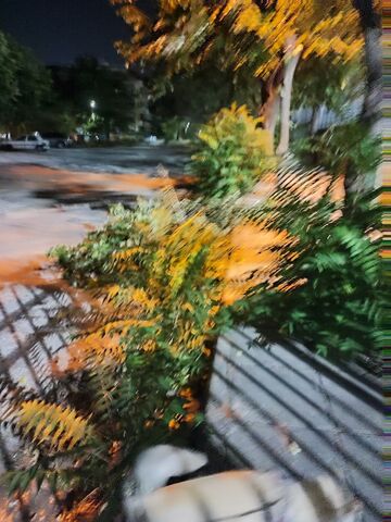 Φωτογραφία 4