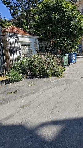 Φωτογραφία 1