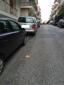 Φωτογραφία 5