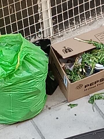 Φωτογραφία 2