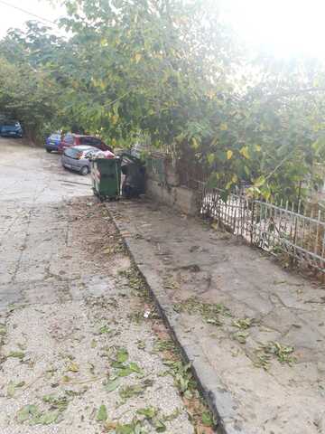 Φωτογραφία 3