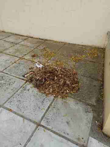 Φωτογραφία 2