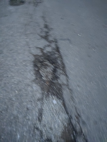 Φωτογραφία 3