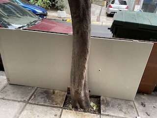 Φωτογραφία 2