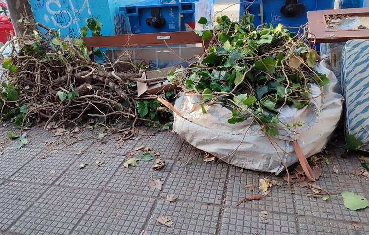 Φωτογραφία 2