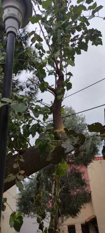 Φωτογραφία 2