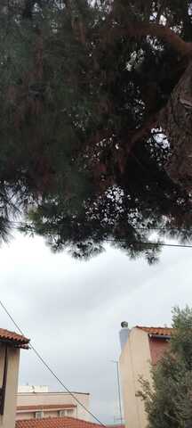 Φωτογραφία 3