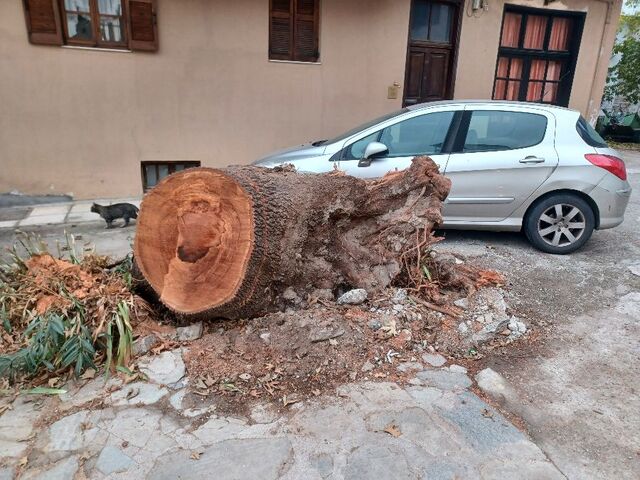 Φωτογραφία 2