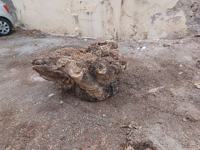 Φωτογραφία 3