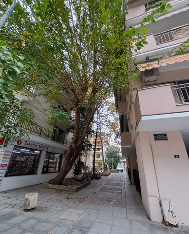 Φωτογραφία 2