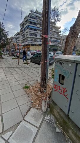Φωτογραφία 2
