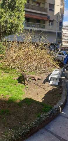 Φωτογραφία 1