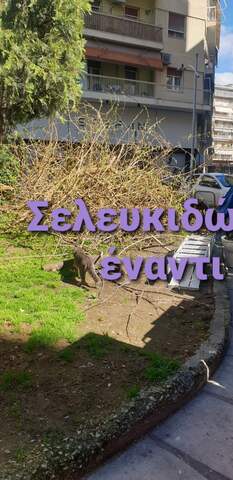 Φωτογραφία 2