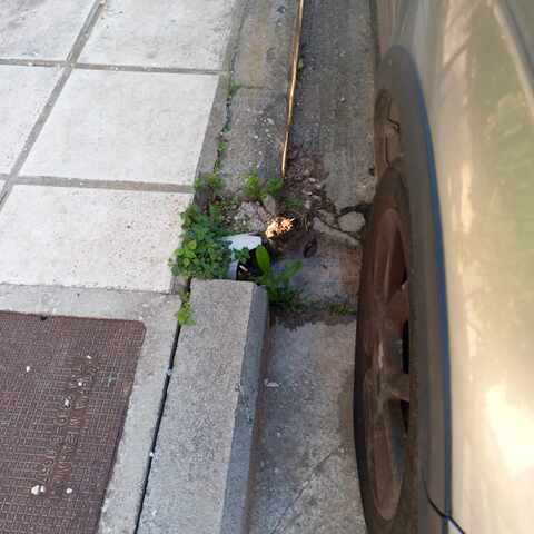 Φωτογραφία 2