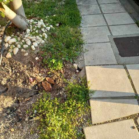 Φωτογραφία 3