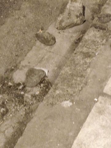 Φωτογραφία 3