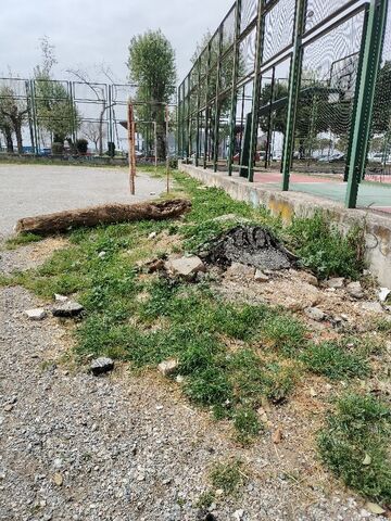 Φωτογραφία 4