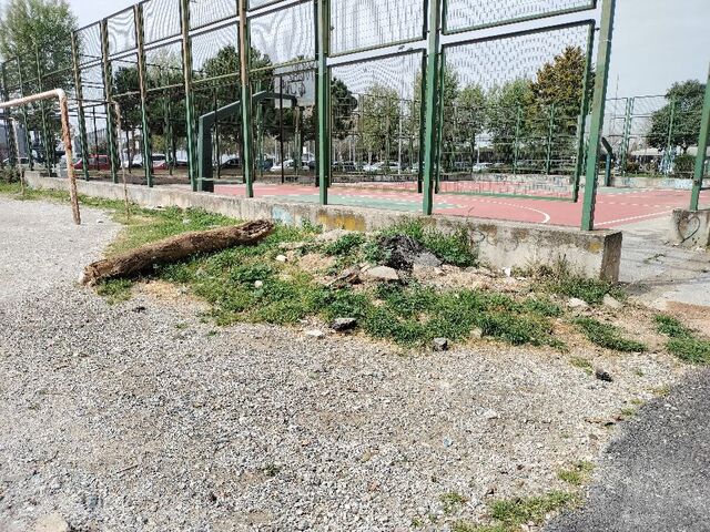 Φωτογραφία 5