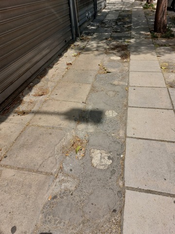 Φωτογραφία 4