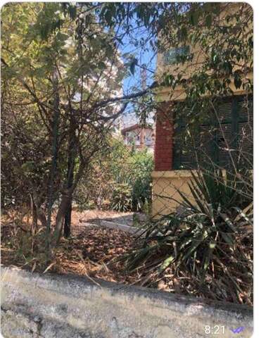 Φωτογραφία 5