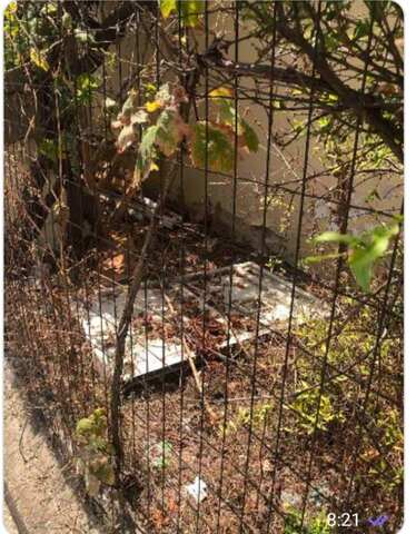 Φωτογραφία 6