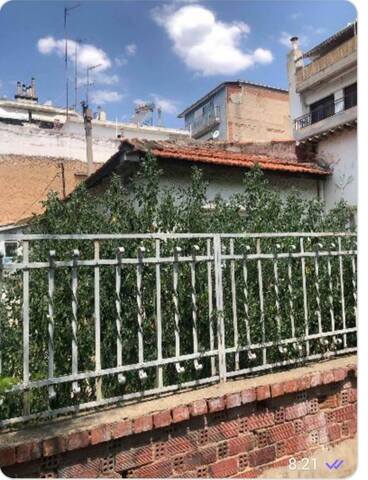 Φωτογραφία 7