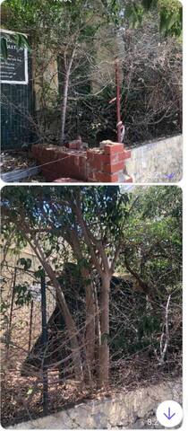 Φωτογραφία 10