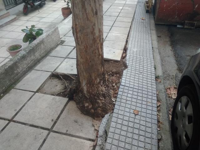 Φωτογραφία 2