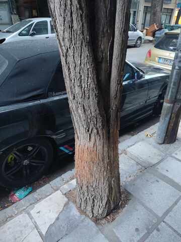 Φωτογραφία 2