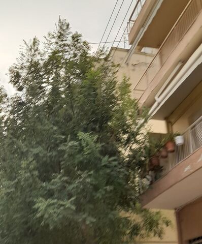 Φωτογραφία 2