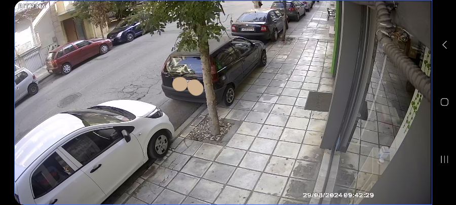 Φωτογραφία 7