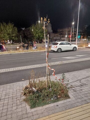 Φωτογραφία 2