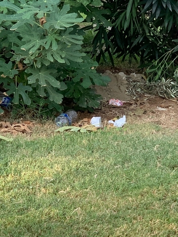 Φωτογραφία 2