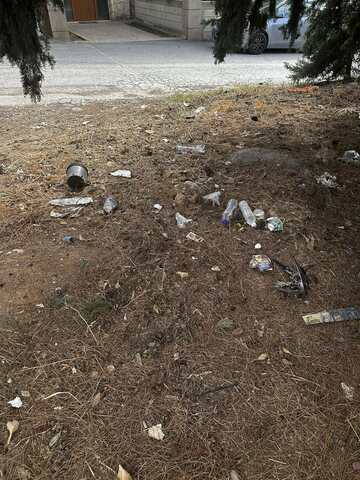 Φωτογραφία 3