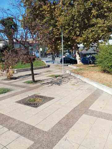 Φωτογραφία 2