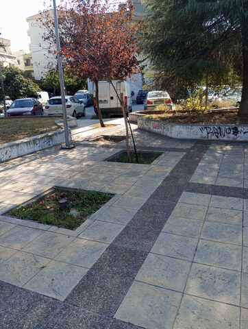 Φωτογραφία 4