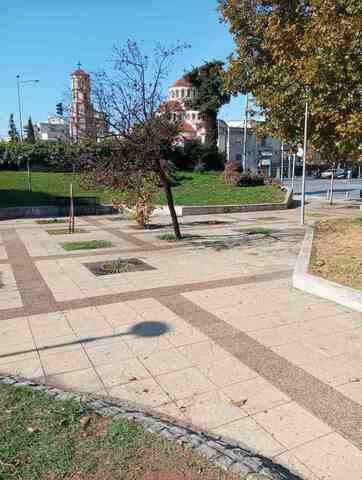 Φωτογραφία 6