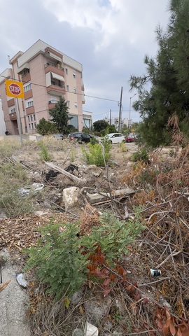 Φωτογραφία 2