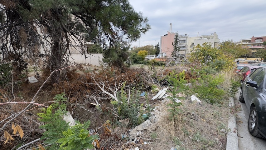 Φωτογραφία 3