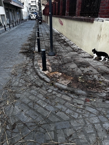 Φωτογραφία 4