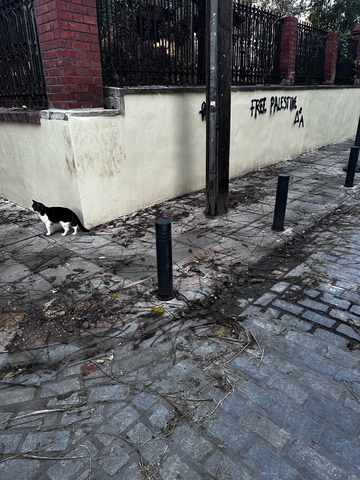 Φωτογραφία 5