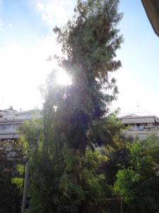 Φωτογραφία 2