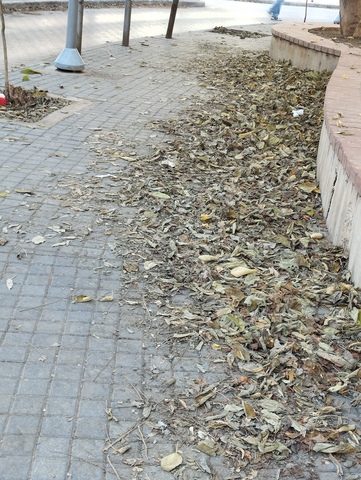 Φωτογραφία 2