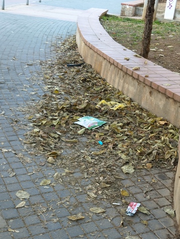 Φωτογραφία 3